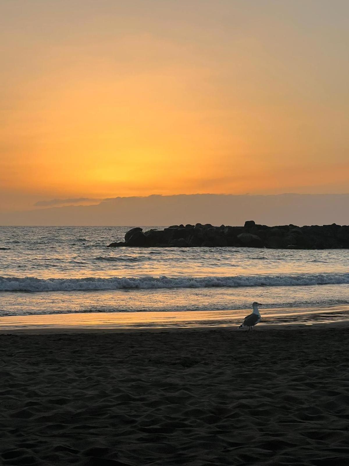 Apartamento En Primera Linea De Playa, Centrico, Tranquilo Плая-де-лас-Америкас Экстерьер фото